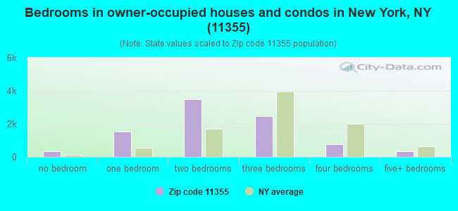 Bedrooms in owner-occupied houses and condos in New York, NY (11355) 