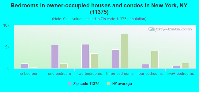 Bedrooms in owner-occupied houses and condos in New York, NY (11375) 