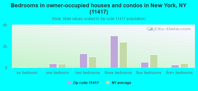 Bedrooms in owner-occupied houses and condos in New York, NY (11417) 
