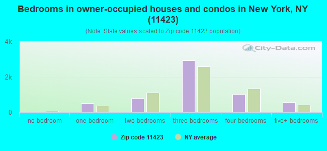 Bedrooms in owner-occupied houses and condos in New York, NY (11423) 