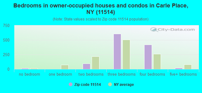 Bedrooms in owner-occupied houses and condos in Carle Place, NY (11514) 