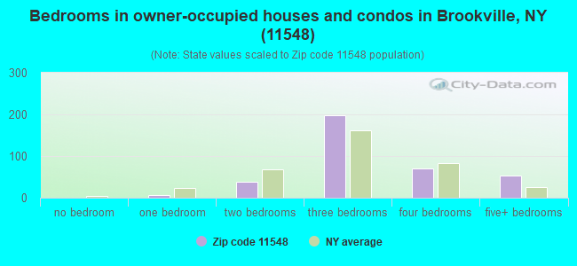 Bedrooms in owner-occupied houses and condos in Brookville, NY (11548) 