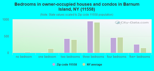 Bedrooms in owner-occupied houses and condos in Barnum Island, NY (11558) 