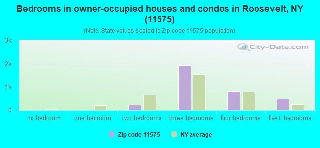 Bedrooms in owner-occupied houses and condos in Roosevelt, NY (11575) 