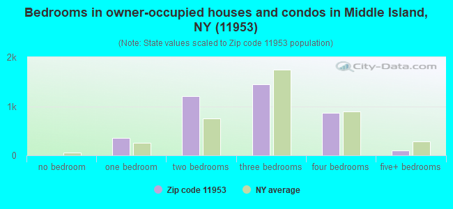 Bedrooms in owner-occupied houses and condos in Middle Island, NY (11953) 