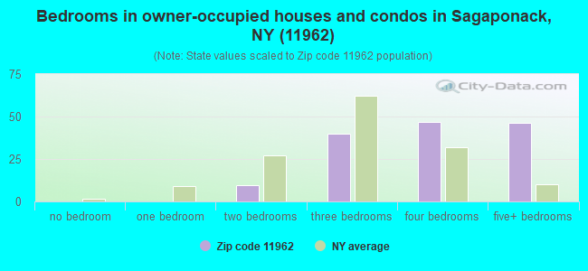 Bedrooms in owner-occupied houses and condos in Sagaponack, NY (11962) 