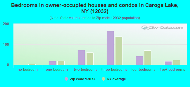 Bedrooms in owner-occupied houses and condos in Caroga Lake, NY (12032) 