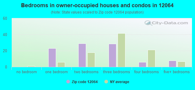 Bedrooms in owner-occupied houses and condos in 12064 