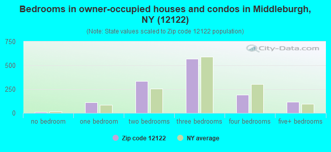 Bedrooms in owner-occupied houses and condos in Middleburgh, NY (12122) 