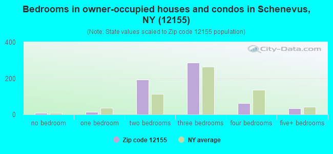 Bedrooms in owner-occupied houses and condos in Schenevus, NY (12155) 