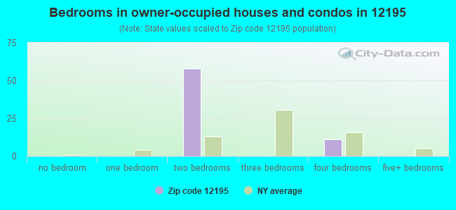 Bedrooms in owner-occupied houses and condos in 12195 