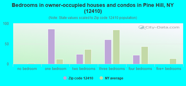 Bedrooms in owner-occupied houses and condos in Pine Hill, NY (12410) 