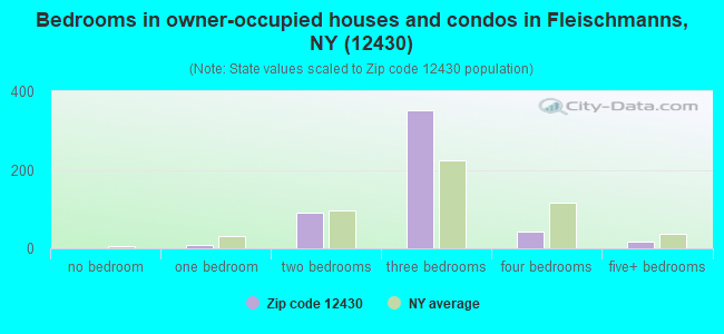 Bedrooms in owner-occupied houses and condos in Fleischmanns, NY (12430) 