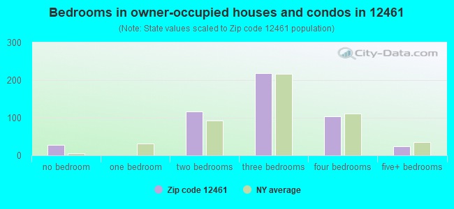 Bedrooms in owner-occupied houses and condos in 12461 