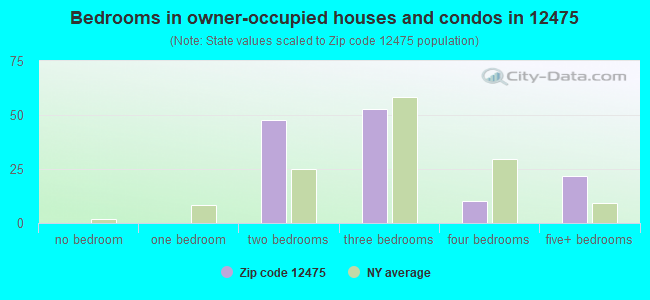 Bedrooms in owner-occupied houses and condos in 12475 