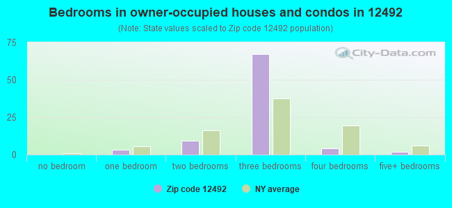 Bedrooms in owner-occupied houses and condos in 12492 