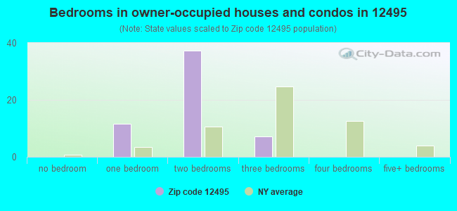 Bedrooms in owner-occupied houses and condos in 12495 