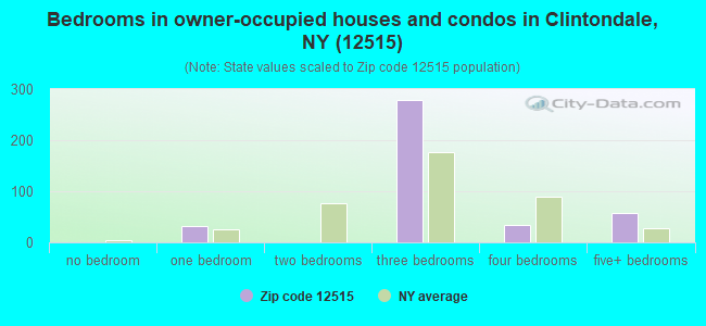 Bedrooms in owner-occupied houses and condos in Clintondale, NY (12515) 