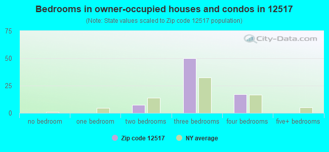 Bedrooms in owner-occupied houses and condos in 12517 