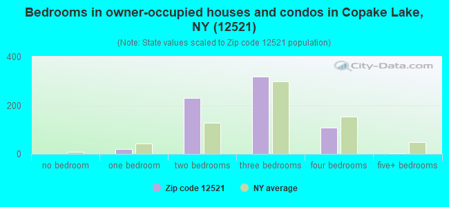 Bedrooms in owner-occupied houses and condos in Copake Lake, NY (12521) 