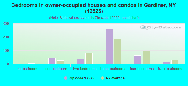 Bedrooms in owner-occupied houses and condos in Gardiner, NY (12525) 