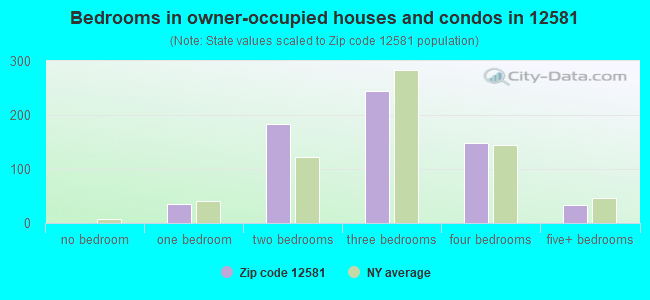 Bedrooms in owner-occupied houses and condos in 12581 