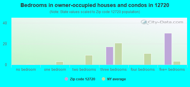 Bedrooms in owner-occupied houses and condos in 12720 