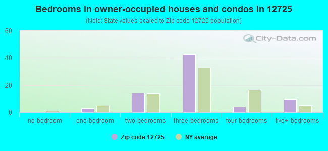 Bedrooms in owner-occupied houses and condos in 12725 