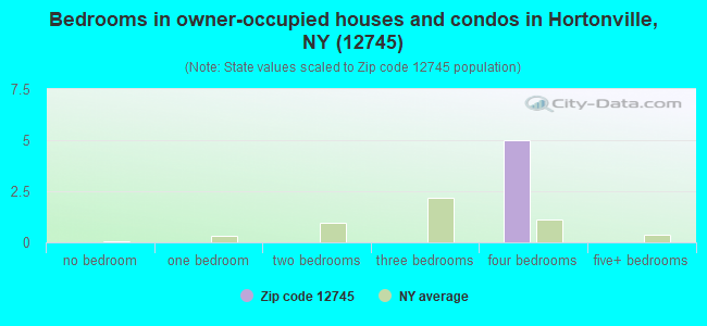 Bedrooms in owner-occupied houses and condos in Hortonville, NY (12745) 