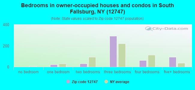 Bedrooms in owner-occupied houses and condos in South Fallsburg, NY (12747) 