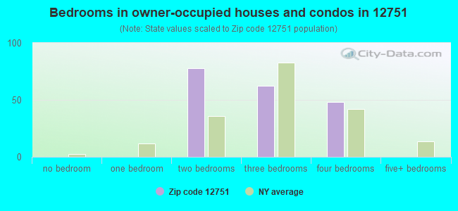 Bedrooms in owner-occupied houses and condos in 12751 
