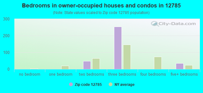 Bedrooms in owner-occupied houses and condos in 12785 