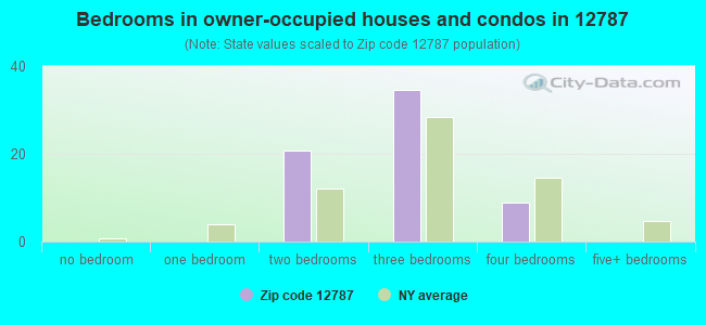 Bedrooms in owner-occupied houses and condos in 12787 