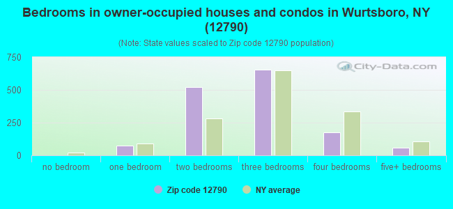 Bedrooms in owner-occupied houses and condos in Wurtsboro, NY (12790) 