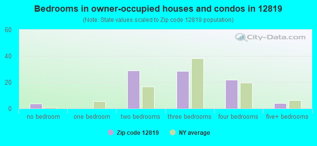 Bedrooms in owner-occupied houses and condos in 12819 