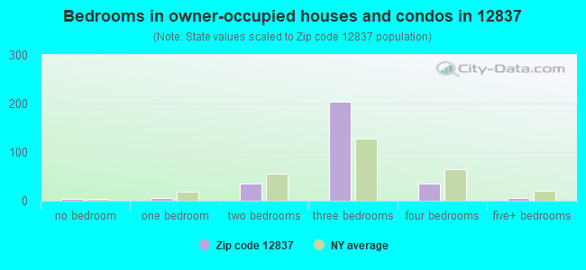 Bedrooms in owner-occupied houses and condos in 12837 