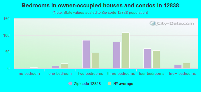 Bedrooms in owner-occupied houses and condos in 12838 