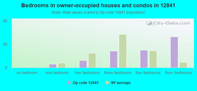 Bedrooms in owner-occupied houses and condos in 12841 