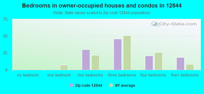 Bedrooms in owner-occupied houses and condos in 12844 