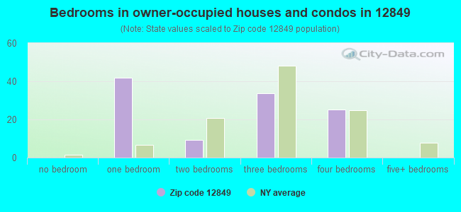 Bedrooms in owner-occupied houses and condos in 12849 