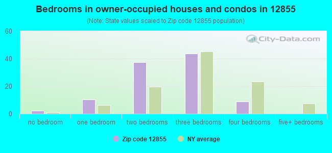 Bedrooms in owner-occupied houses and condos in 12855 