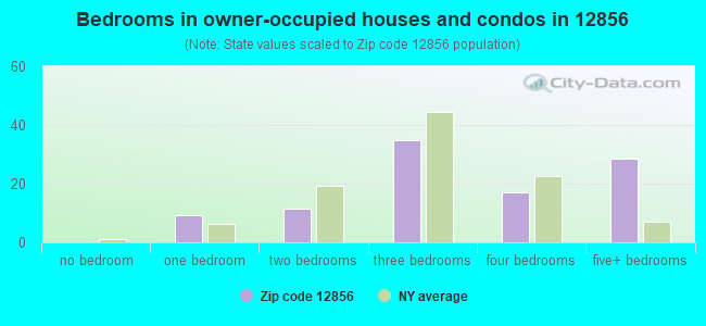Bedrooms in owner-occupied houses and condos in 12856 