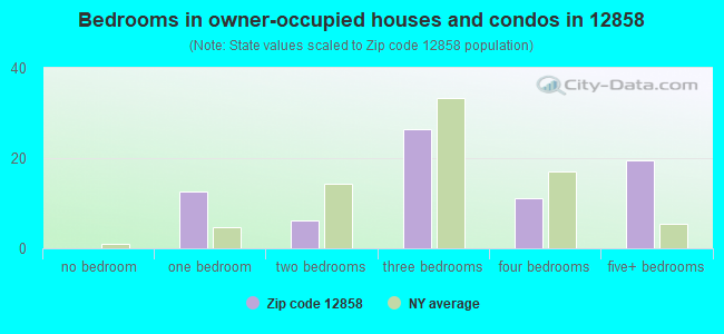 Bedrooms in owner-occupied houses and condos in 12858 