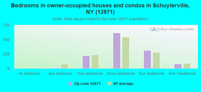 Bedrooms in owner-occupied houses and condos in Schuylerville, NY (12871) 