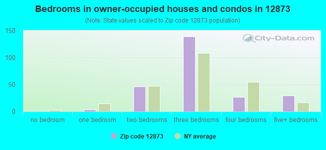 Bedrooms in owner-occupied houses and condos in 12873 