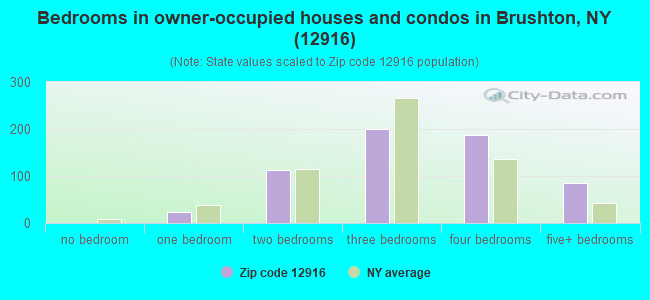 Bedrooms in owner-occupied houses and condos in Brushton, NY (12916) 