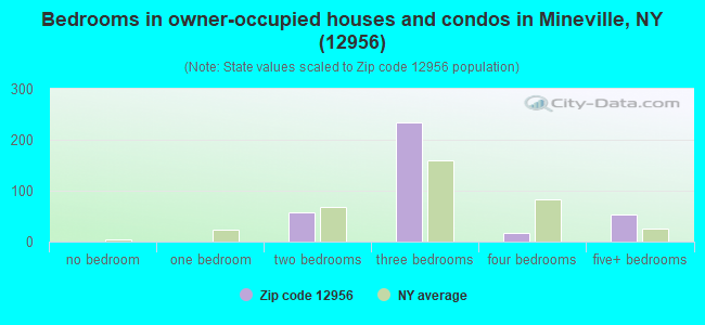 Bedrooms in owner-occupied houses and condos in Mineville, NY (12956) 