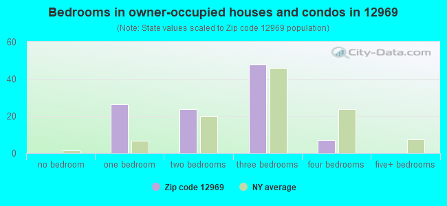 Bedrooms in owner-occupied houses and condos in 12969 