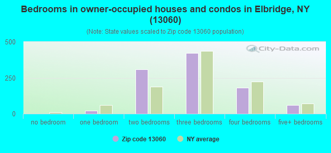 Bedrooms in owner-occupied houses and condos in Elbridge, NY (13060) 