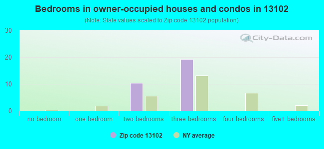 Bedrooms in owner-occupied houses and condos in 13102 